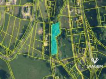 Prodej podílu lesa, Zlatá Olešnice, 963 m2