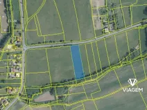 Prodej pole, Březůvky, 3764 m2