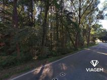 Prodej podílu lesa, Plasy, 478 m2