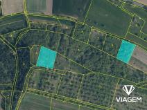 Prodej podílu zahrady, Bechlín, 197 m2