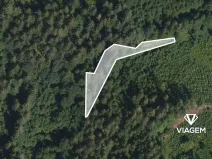 Prodej podílu lesa, Vysoké nad Jizerou, 742 m2