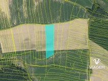 Prodej podílu pole, Třebějice, 1371 m2