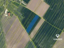 Prodej podílu pole, Chotiněves, 9679 m2