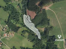 Prodej podílu lesa, Stružinec, 4567 m2