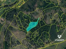 Prodej podílu lesa, Petráveč, 609 m2