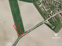 Prodej podílu pole, Běrunice, 1961 m2