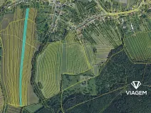 Prodej podílu pole, Cetechovice, 4266 m2