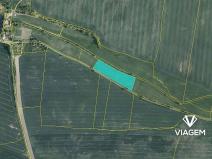 Prodej podílu pole, Františkovy Lázně, 5753 m2