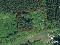 Prodej podílu lesa, Vsetín, 349 m2
