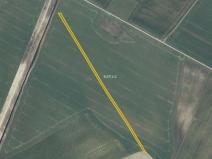 Prodej pole, Mutěnice, 5978 m2