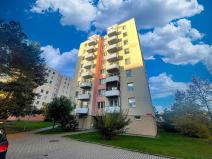 Pronájem bytu 1+kk, České Budějovice - České Budějovice 2, K. Chocholy, 30 m2