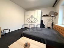 Pronájem bytu 1+1, Brno - Staré Brno, Nové sady, 48 m2