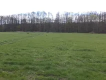 Dražba louky, Tachov, 23048 m2