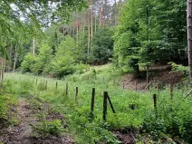 Dražba pozemku, Blatce, 2275 m2