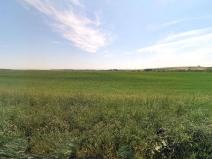 Prodej pole, Mečeříž, 105316 m2