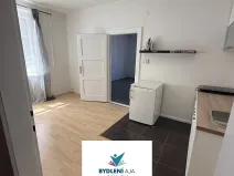 Prodej bytu 1+1, Teplice, Fügnerova, 44 m2