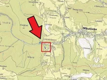 Prodej lesa, Mikulůvka, 3813 m2