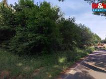 Prodej pozemku pro bydlení, Červená Voda - Moravský Karlov, 273 m2