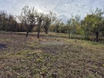 Prodej zahrady, Židlochovice, 1185 m2