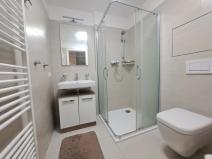 Pronájem bytu 1+kk, Brno, Poříčí, 35 m2