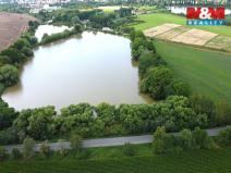 Prodej rybníku, Český Brod - Liblice, 6053 m2