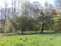 Prodej pozemku, Kamenná - Kondrač, 2542 m2