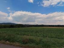 Prodej pole, Mšeno, 9988 m2