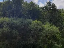 Prodej pozemku, Dolní Zimoř, 1049 m2