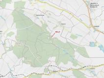 Dražba lesa, Moravské Budějovice, 834 m2