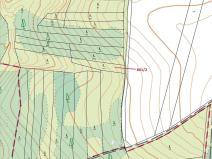 Dražba lesa, Moravské Budějovice, 834 m2