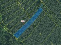 Dražba lesa, Milavče, 1537 m2