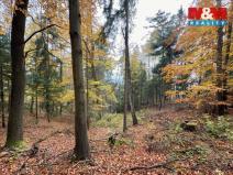 Prodej lesa, Jestřebí, 6855 m2