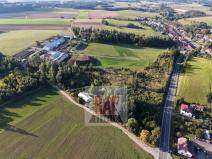 Prodej lesa, Sazomín, 11295 m2