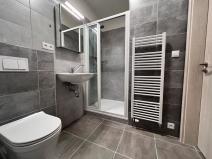 Pronájem bytu 2+kk, Brno, Chvalovka, 61 m2