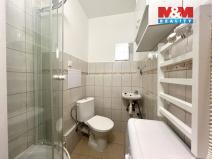 Pronájem bytu 1+kk, Jindřichův Hradec - Jindřichův Hradec II, sídliště U Nádraží, 20 m2