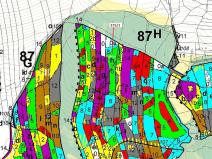 Dražba lesa, Psárov, 15717 m2