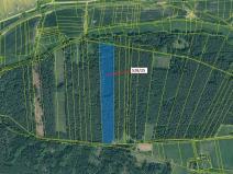 Dražba lesa, Stehlovice, 29451 m2