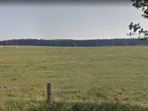 Dražba louky, Benešov, 9944 m2