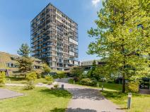 Pronájem garážového stání, Praha - Žižkov, Pitterova, 13 m2