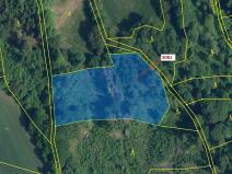 Dražba lesa, Benešov u Semil, 6213 m2