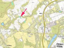 Prodej lesa, Český Těšín, 3156 m2