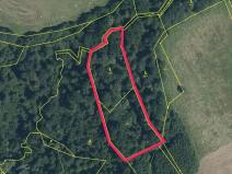 Prodej lesa, Český Těšín, 6540 m2