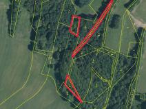 Prodej lesa, Stružnice, 2051 m2