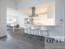 Pronájem bytu 6+kk a větší, Praha - Staré Město, Dušní, 218 m2