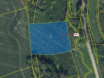 Dražba lesa, Vysoké Mýto, 4766 m2