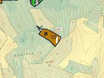 Dražba lesa, Zubrnice, 4610 m2