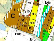 Dražba lesa, Přílepy, 7060 m2