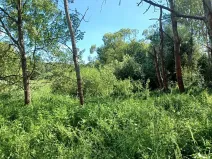 Dražba pozemku, Česká Lípa, 3295 m2