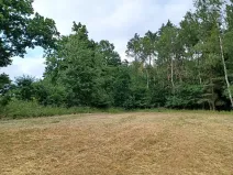 Dražba lesa, Ždírec, 1493 m2