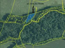 Prodej lesa, Člunek, 1493 m2